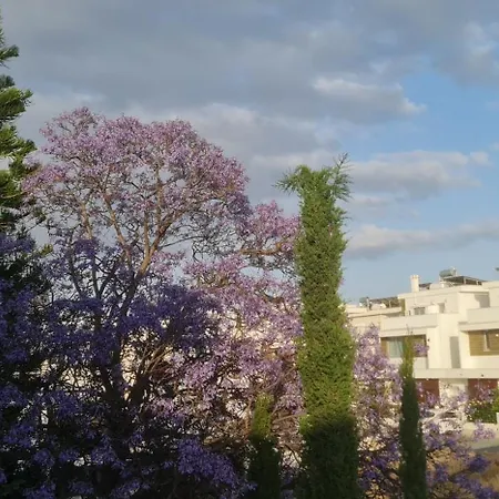 Larnaca Breeze 公寓 皮拉